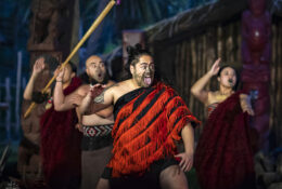 New Zealand 2025 (1 group) (1/66)